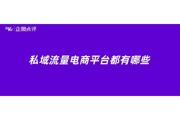 私域电商平台有哪些常见的类型及特点
