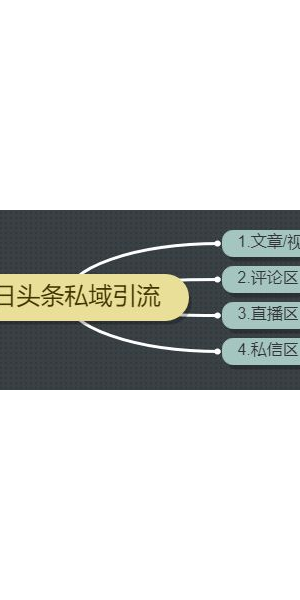 揭秘私域引流最佳方法，快速提升流量与转化！