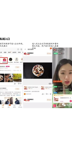 私域直播营销案例:成功经验与实践分享