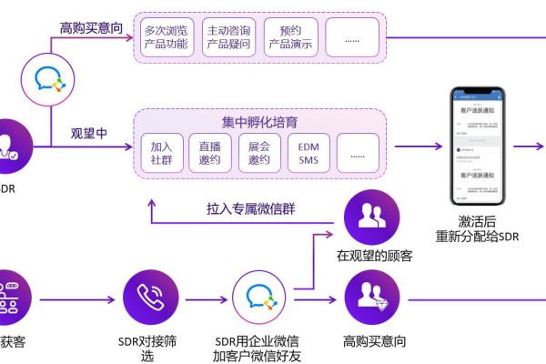私域营销自动化：提升营销效率的关键
