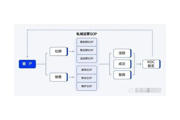 私域运营 SOP:从搭建到执行全流程指南